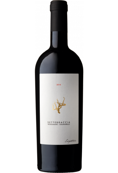 SETTEBRACCIA ROSSO IGP SALENTO 2019 | Cantina Sampietrana