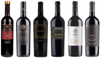 6er Probierpaket Primitivo zum Kennenlernen 6er Probierpaket Primitivo zum Kennenlernen