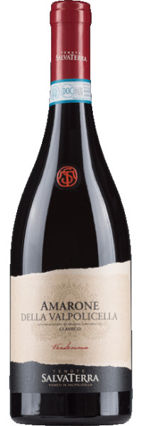 Tenute Salvaterra Amarone della Valpolicella Classico 2009